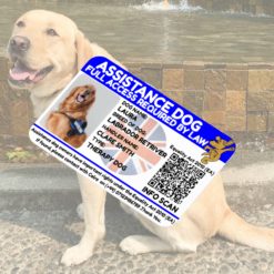 Assistance or Service Dog Access Support Card