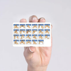 Sign Language Alphabe