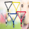 assistance dog lanyard