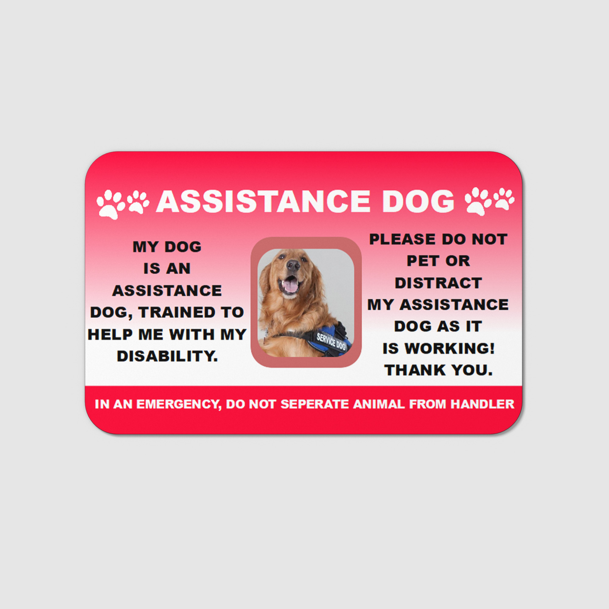 Assistance Dog Card “Please Do Not Pet” AD9 - Image 3