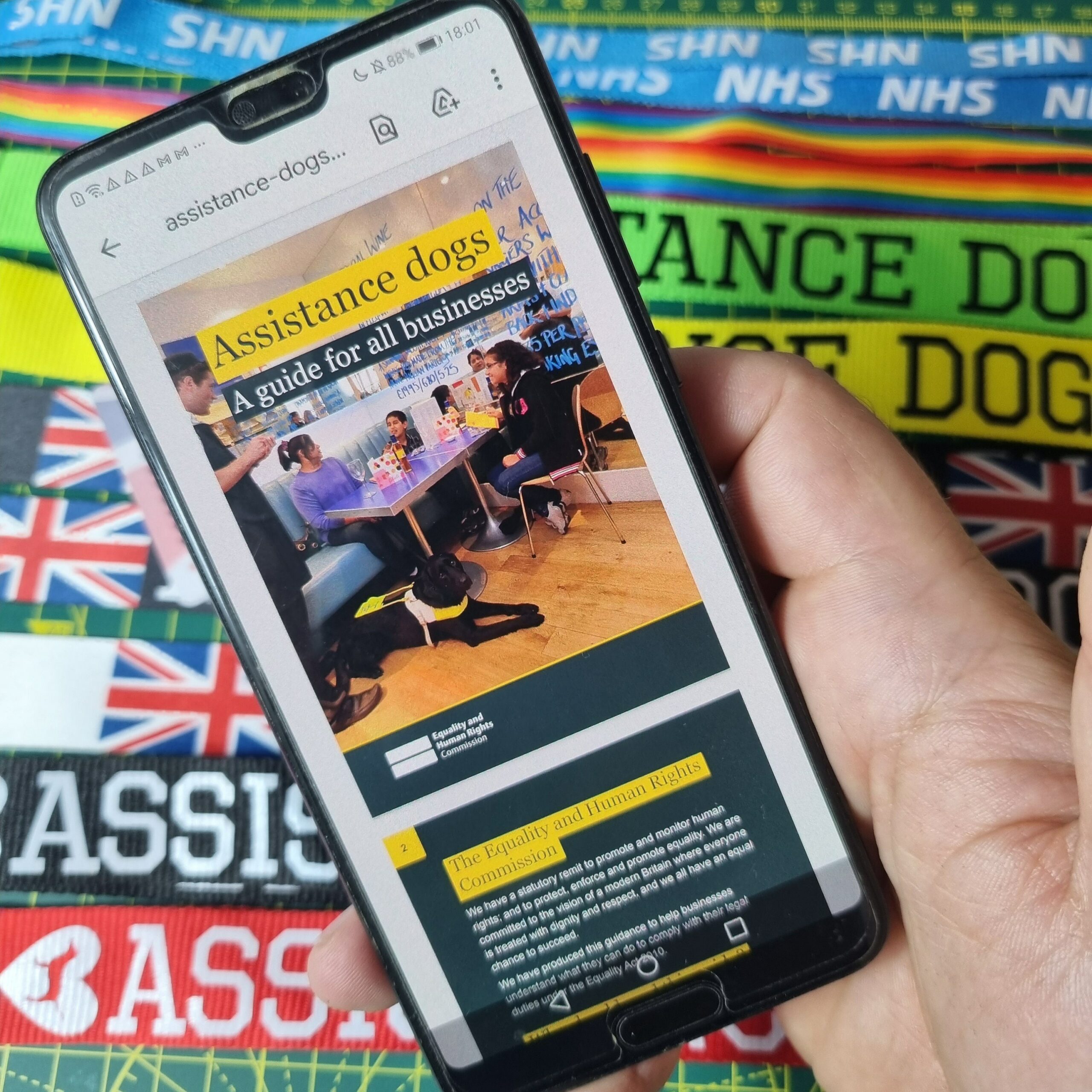 assistance dog law UK