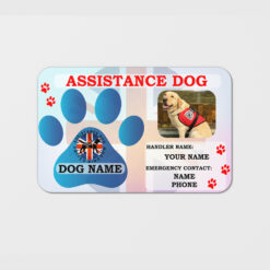 Assistance dog personalized with 3 personalized dog tag and assistance dog lanyard